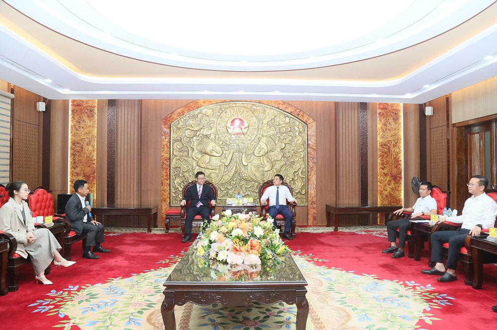 The Provincial People's Committee works with Japanese enterprise regarding education and training cooperation