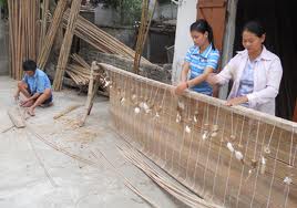   Cuong Blind Trade Village